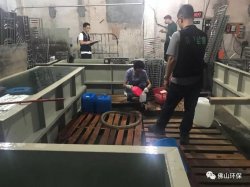 佛山三級環(huán)保加公安部門聯(lián)合執(zhí)法查處南海2家污企，七人被帶走調(diào)查